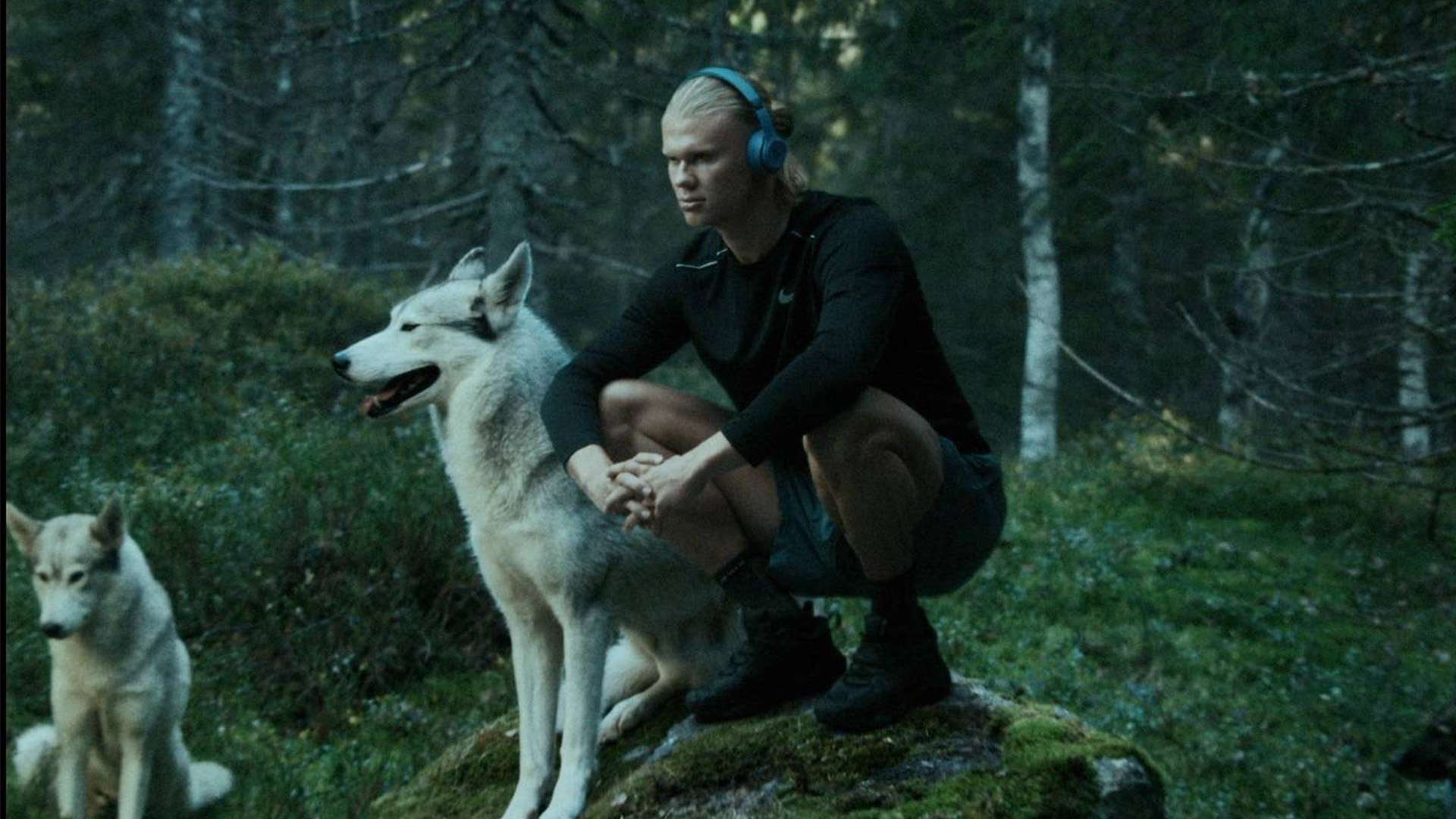 称教科书级 称教科书级